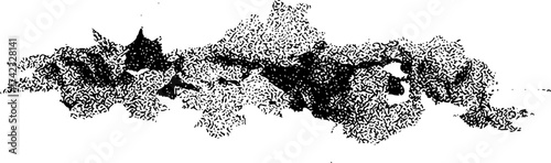 Abstract black and white ink blot pattern with organic, flowing shapes and textures