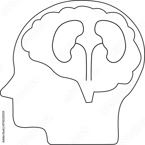 line icon of human brain head and kidney icon