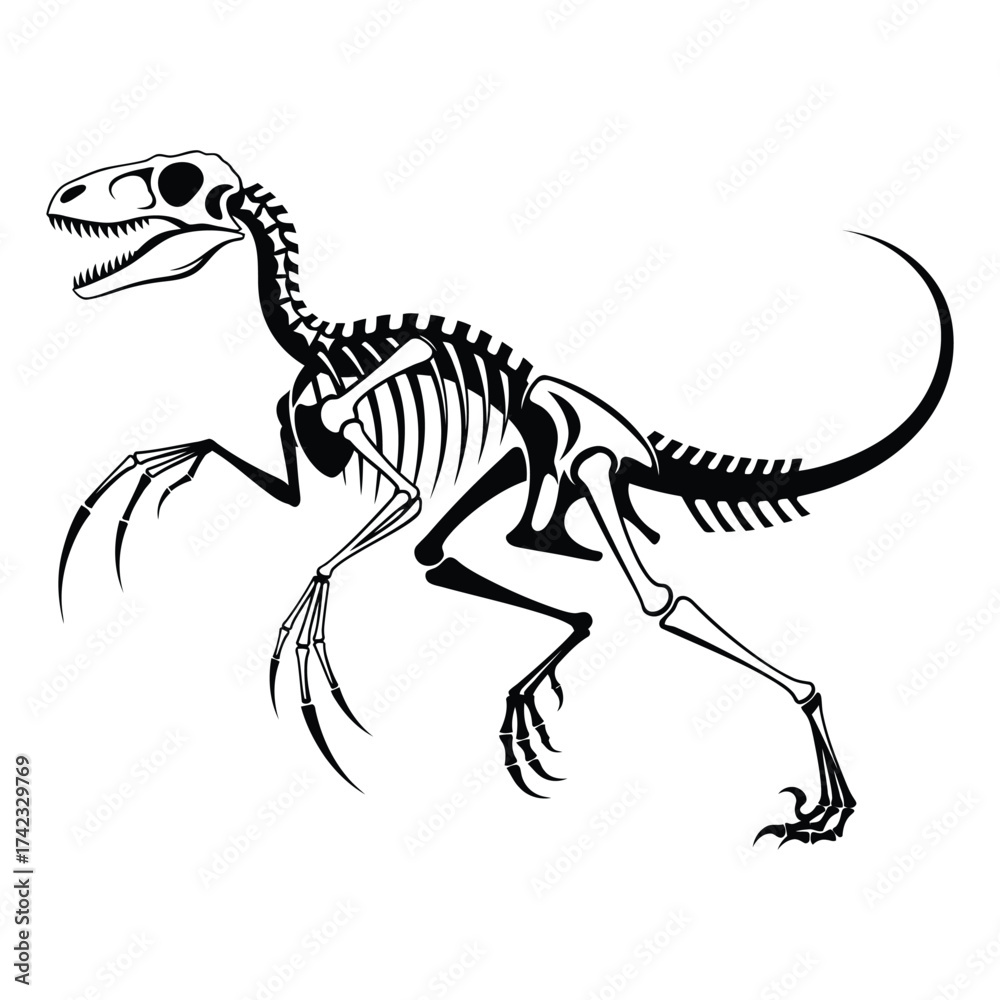 Fototapeta premium Minimalist velociraptor skeleton running dynamic pose isolated on white background