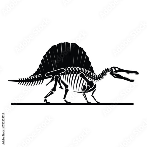 Bold spinosaurus skeleton silhouette isolated on white background