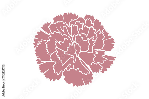 carnation flower outline