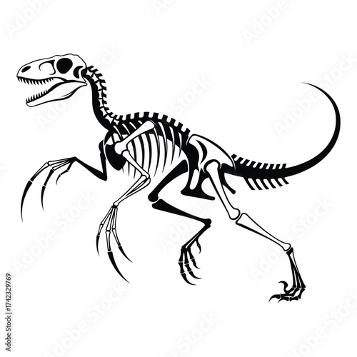 Minimalist velociraptor skeleton running dynamic pose isolated on white background