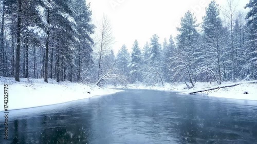 Winter landscape with snowy river and pine trees in forest  