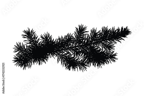 pine branch silhouette