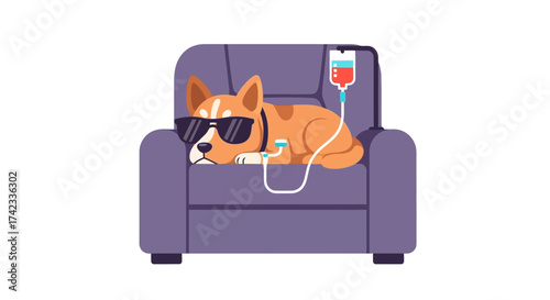 Illustration of a dog wearing sunglasses getting iv fluid on a purple couch against a white