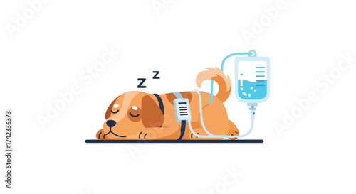 Illustration of a sick dog receiving intravenous fluids while sleeping soundly for treatment