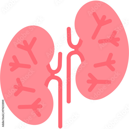 Kidneys Icon