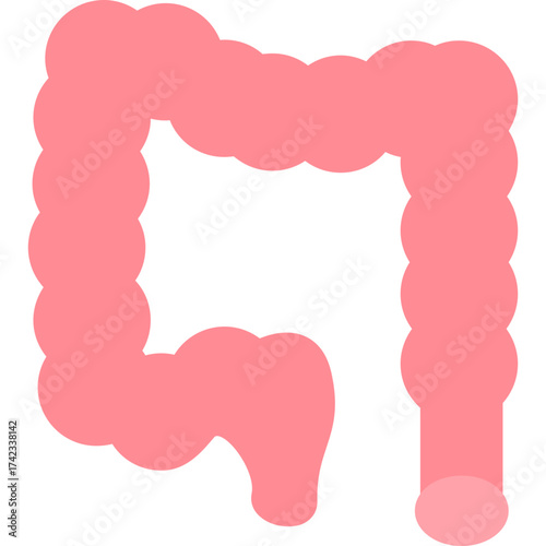 Large Intestine Icon