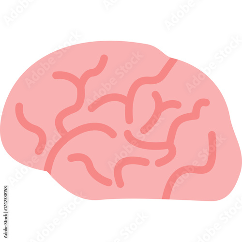 Brain Icon