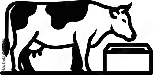 Holstein Friesian dairy cow eating from trough showing udder with milk. Farm animal illustration. Vector icon for agriculture, livestock, food product design