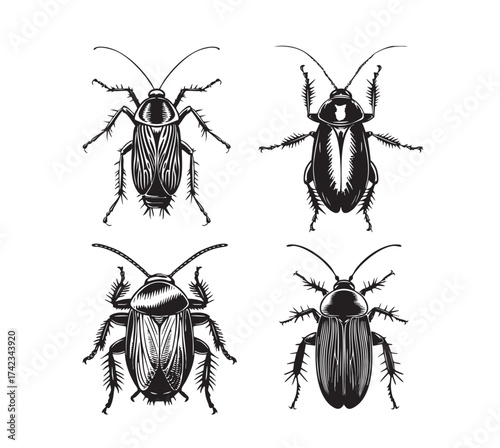 Detailed set of cockroach illustrations in a realistic engraved sketch style, ideal for pest control or nature projects.