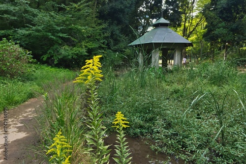 公園の東屋