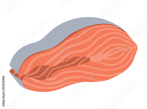 Raw Salmon Fillet Cut