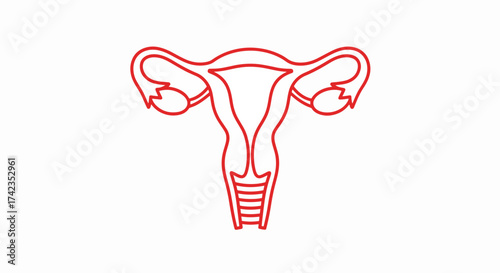 Red uterus and ovaries monoline icon on white background, depicting female reproductive system. Uterus and ovaries are essential to women's health.