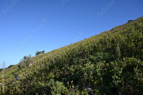 Fotografie Climbing Mt. Ibuki, Shiga, Japan