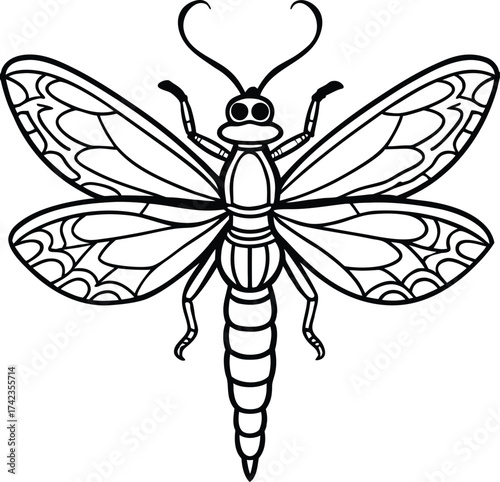 Whimsical dragonfly butterfly hybrid fantasy creature illustration isolated on white background isolated on transparent background