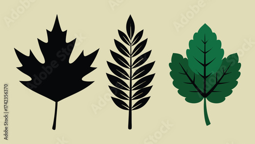 Three stylized leaves in different shapes