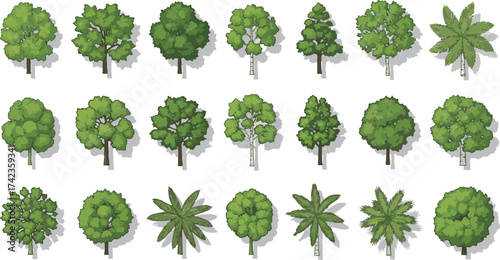 solated a kinds of deferent Vector tree top view isolated on white background for landscape plan and architecture layout drawing, elements for environment and garden vector art with white background.