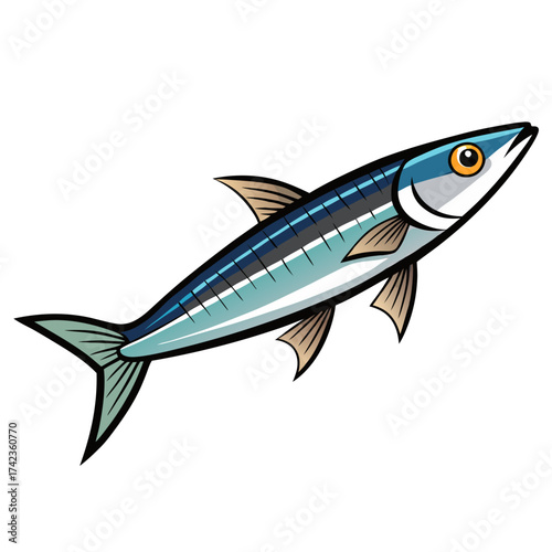 Illustration of a saury fish vector drawing of a slender, silvery fish with a long, pointed beak and small fins