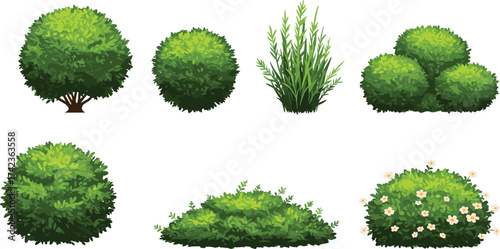 Bushes and shrubs vector set, ornamental greenery, flowering plants, grass clumps, landscaping foliage, gardening elements, decorative nature illustration