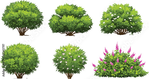 Bushes and shrubs vector set, flowering greenery, ornamental plants, landscaping foliage, garden elements, decorative nature illustration