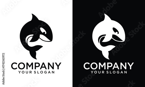 dolphin logo creative color art design animal logo business