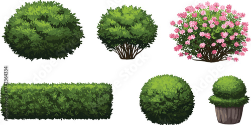 Bushes and shrubs vector set, ornamental greenery, flowering plants, trimmed hedges, topiary design, landscaping elements, gardening illustration