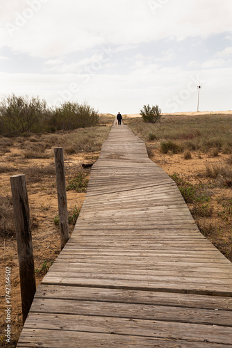 Pasarela de madera con hombre paseando con su perro.