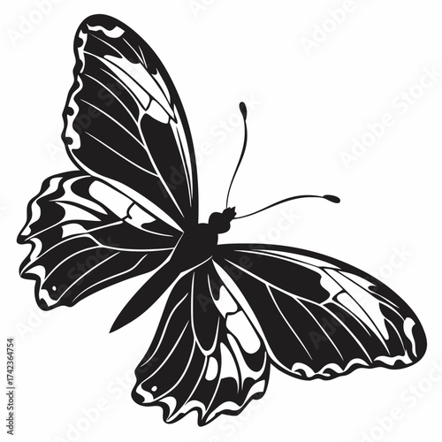 butterfly silhouette vector