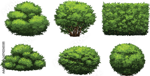 Bushes, shrubs, trimmed hedges, ornamental greenery, garden plants, landscape foliage, decorative outdoor vegetation, natural shapes, cad drawing flat vector illustration