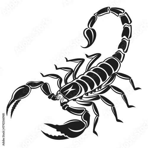 scorpion vector illustration