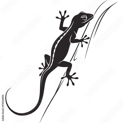 lizard on a branch
