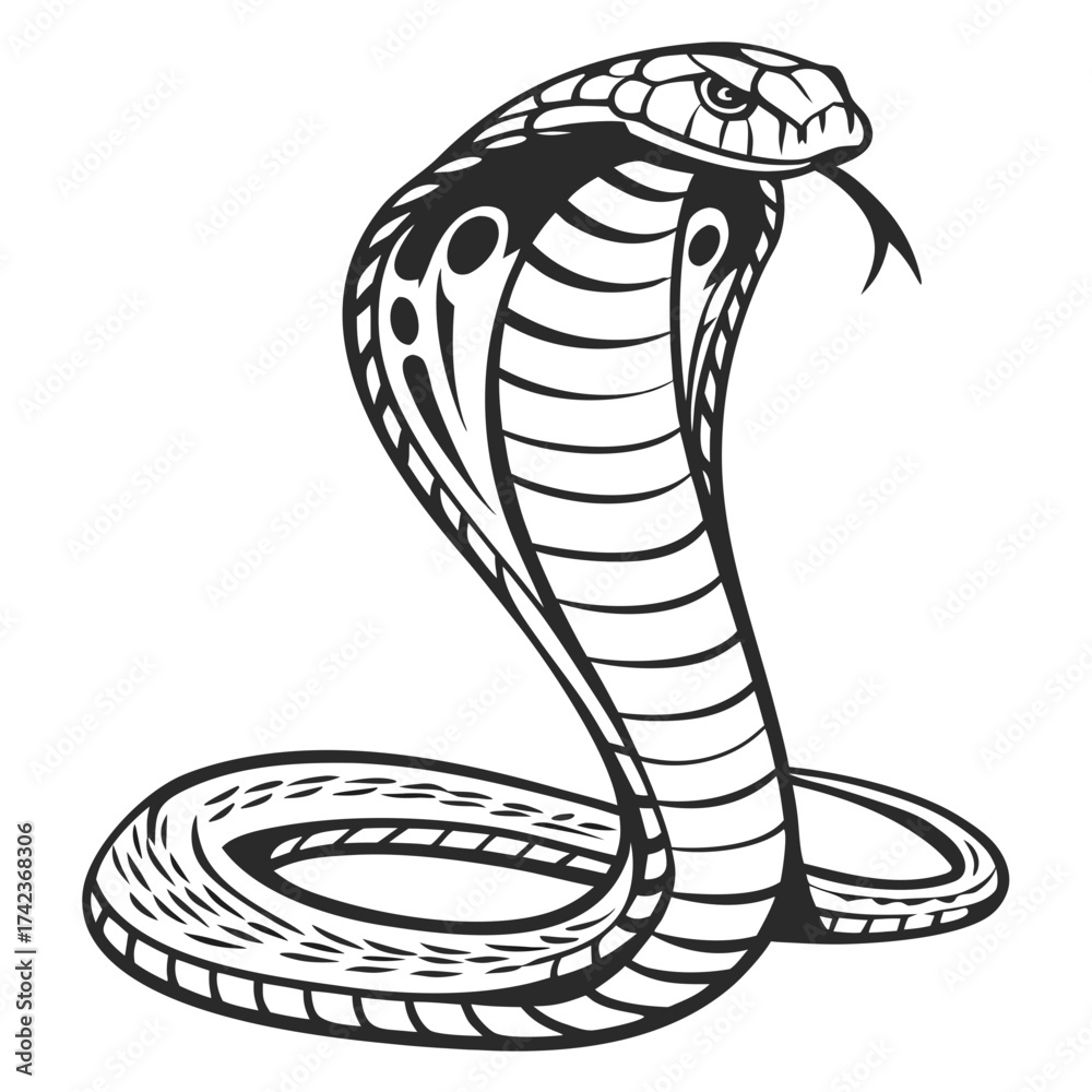 Fototapeta premium vector illustration of a snake