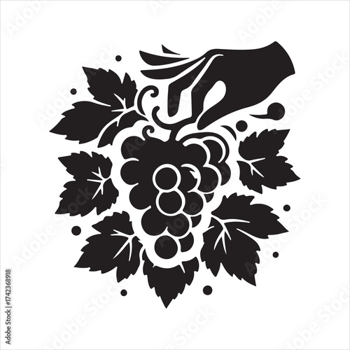 Elegant black silhouette of a hand gently touching a bunch of grapes surrounded by leaves