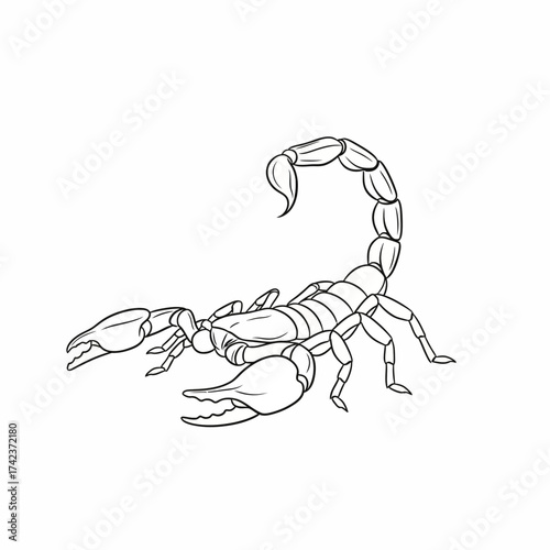 Dynamic line art illustration of a desert scorpion, featuring its segmented body, powerful pincers, and arched stinger, a symbol of wild nature and survival