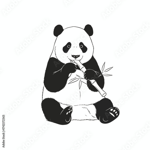 Charming hand-drawn illustration of a giant panda peacefully enjoying its favorite meal of fresh bamboo shoots, showcasing the serene beauty of this iconic creature