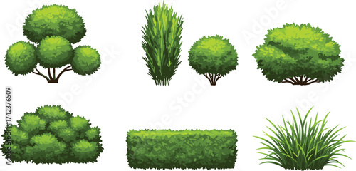 Green bushes, garden shrubs, ornamental hedge plants, landscape foliage, trimmed greenery, outdoor decorative plants, natural garden elements, cad drawing flat vector illustration