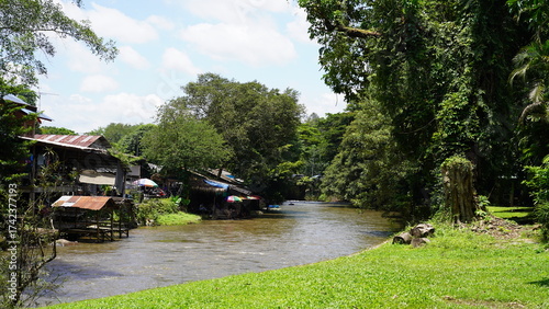 village near the river and the forest