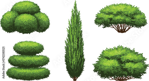 Tiered topiary, dome canopy shrub, cypress bush, irregular greenery, ornamental foliage, garden plants, outdoor vegetation, cad drawing flat vector illustration
