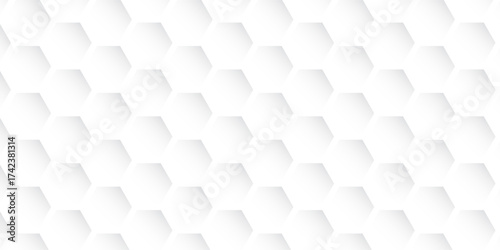 Abstract modern hexagon background. White and grey honey geometric texture. Vector art illustration