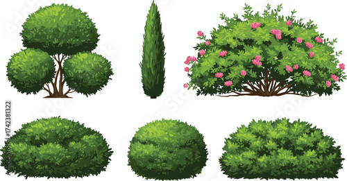 Tiered topiary, flowering shrub, cypress bush, trimmed hedge, ornamental greenery, garden plants, outdoor foliage, landscape vegetation, cad drawing flat vector illustration