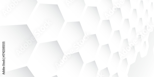 Abstract modern hexagon background. White and grey honey geometric texture. Vector illustration