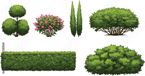 Topiary bush, flowering shrub, evergreen hedge, ornamental greenery, garden plants, trimmed foliage, outdoor vegetation, landscape design, cad drawing flat vector illustration