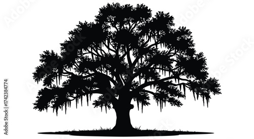 Majestic oak tree silhouette with spanish moss symbolizing nature wisdom growth and longevity isolated on white background silhouette design isolated on white background