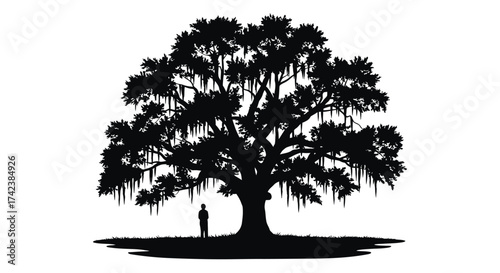 Majestic southern live oak tree silhouette with spanish moss and lone figure isolated on white background silhouette design isolated on white background
