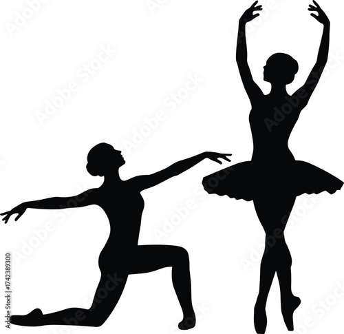 Ballet dancers silhouette, elegant pose, classical tutu, graceful movement, artistic performance, dance posture, en pointe, expressive art, black background
