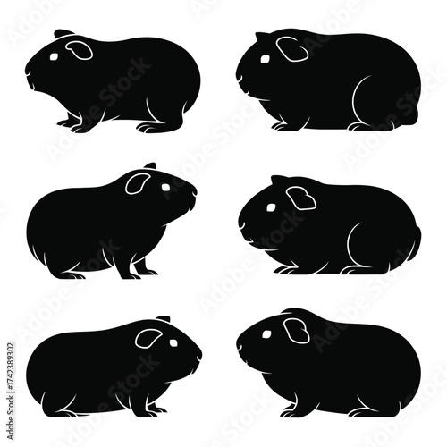 Set of six vector silhouette illustrations of guinea pigs in various poses scalable eps graphics silhouette White background