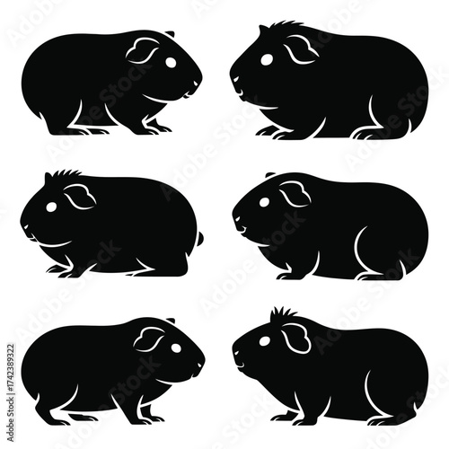 Scalable vector silhouettes of six adorable guinea pigs for diverse design applications eps silhouette White background