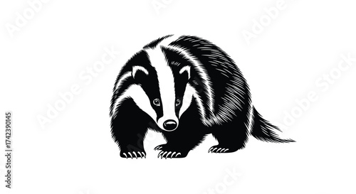 A striking black and white illustration of a badger standing alert with its distinctive facial markings clearly visible.