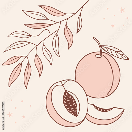 Illustration of peaches and a branch in pink hues